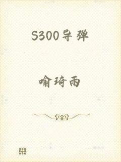 S300导弹