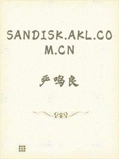 SANDISK.AKL.COM.CN