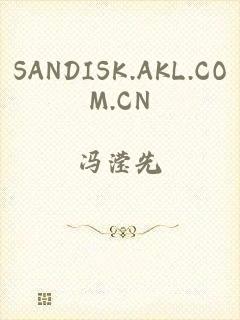 SANDISK.AKL.COM.CN