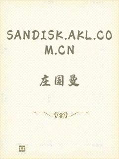 SANDISK.AKL.COM.CN