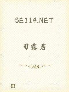 SE114.NET