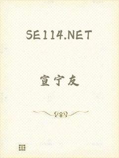 SE114.NET