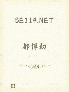 SE114.NET