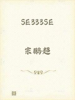 SE333SE