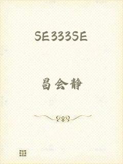 SE333SE