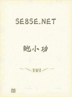 SE8SE.NET