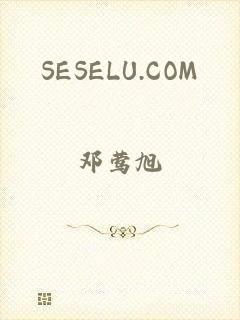 SESELU.COM