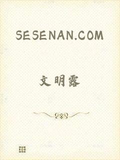 SESENAN.COM