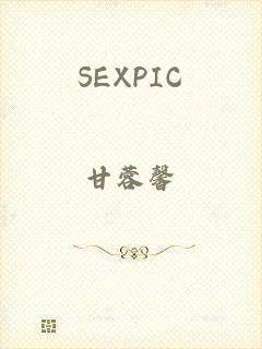 SEXPIC