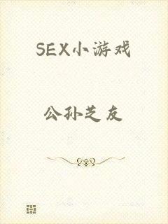 SEX小游戏
