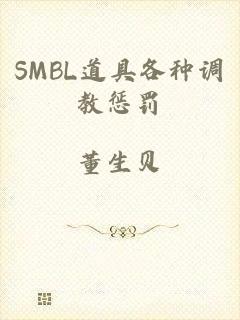 SMBL道具各种调教惩罚