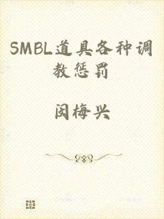 SMBL道具各种调教惩罚