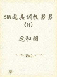 SM道具调教男男(H)