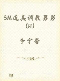 SM道具调教男男(H)