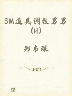 SM道具调教男男(H)