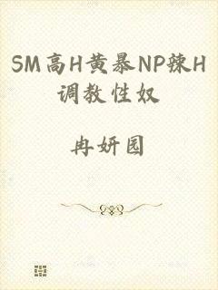 SM高H黄暴NP辣H调教性奴