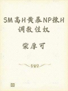 SM高H黄暴NP辣H调教性奴
