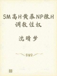 SM高H黄暴NP辣H调教性奴