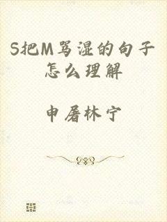 S把M骂湿的句子怎么理解