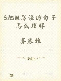 S把M骂湿的句子怎么理解
