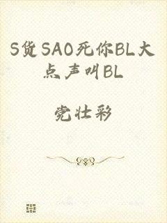 S货SAO死你BL大点声叫BL