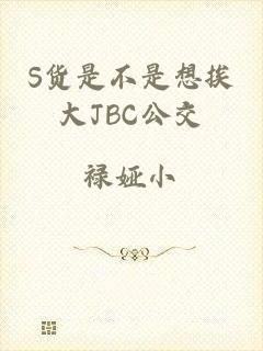 S货是不是想挨大JBC公交