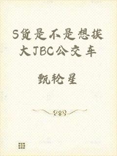 S货是不是想挨大JBC公交车