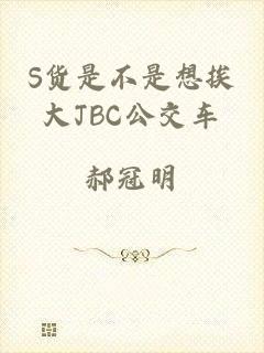 S货是不是想挨大JBC公交车