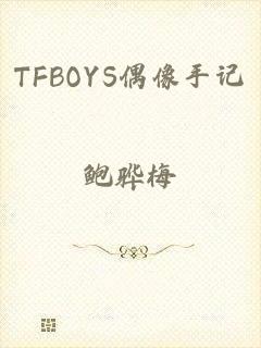 TFBOYS偶像手记