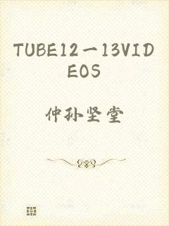 TUBE12一13VIDEOS