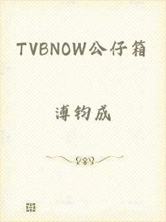 TVBNOW公仔箱