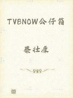 TVBNOW公仔箱