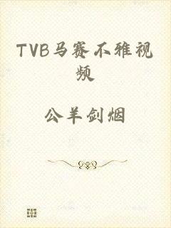 TVB马赛不雅视频