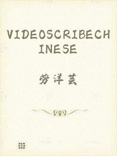 VIDEOSCRIBECHINESE