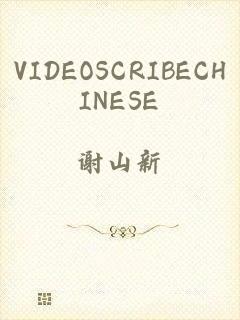 VIDEOSCRIBECHINESE