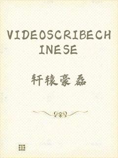 VIDEOSCRIBECHINESE