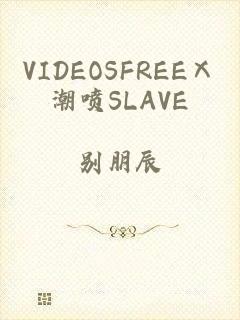 VIDEOSFREEⅩ潮喷SLAVE