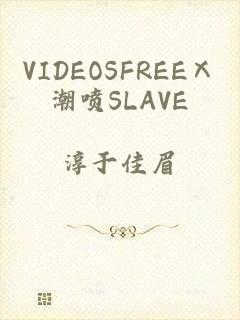 VIDEOSFREEⅩ潮喷SLAVE