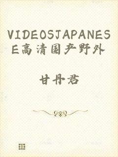 VIDEOSJAPANESE高清国产野外