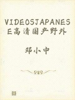 VIDEOSJAPANESE高清国产野外