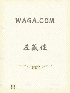 WAGA.COM