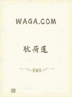 WAGA.COM