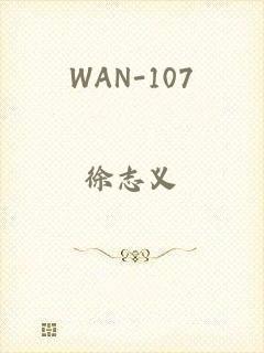 WAN-107