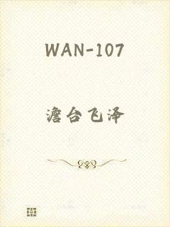 WAN-107