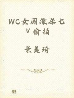WC女厕撒尿七Ⅴ偷拍