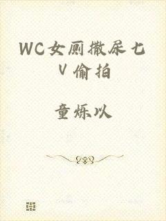 WC女厕撒尿七Ⅴ偷拍