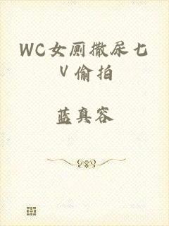 WC女厕撒尿七Ⅴ偷拍