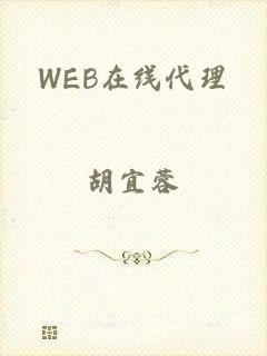 WEB在线代理