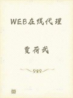 WEB在线代理