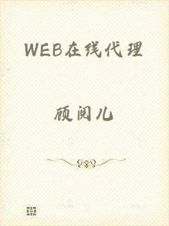 WEB在线代理